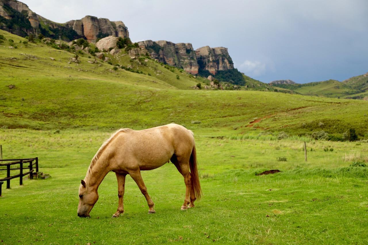 Greenfire Drakensberg Lodge Bonjaneni Εξωτερικό φωτογραφία